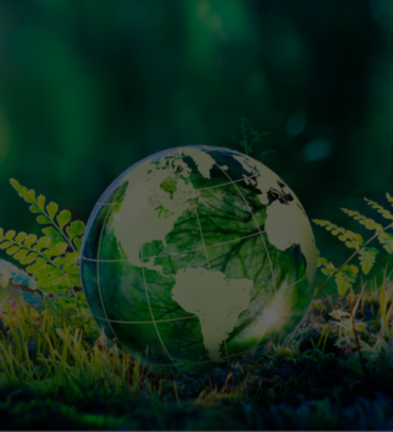 How we help mobile image