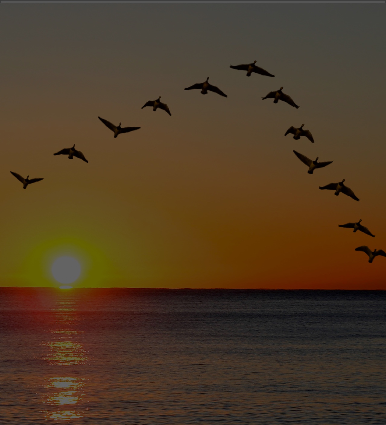 Our Team Mobile Image